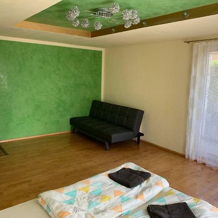Nexi S Appartement An Der Enns 9 Radstadt Kültér fotó